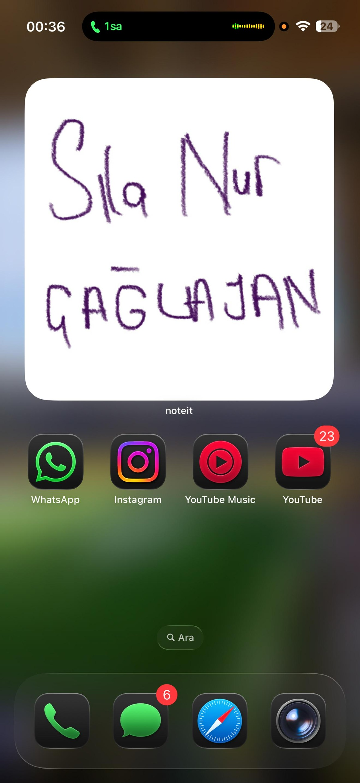 Sıla Nur Çağlayan